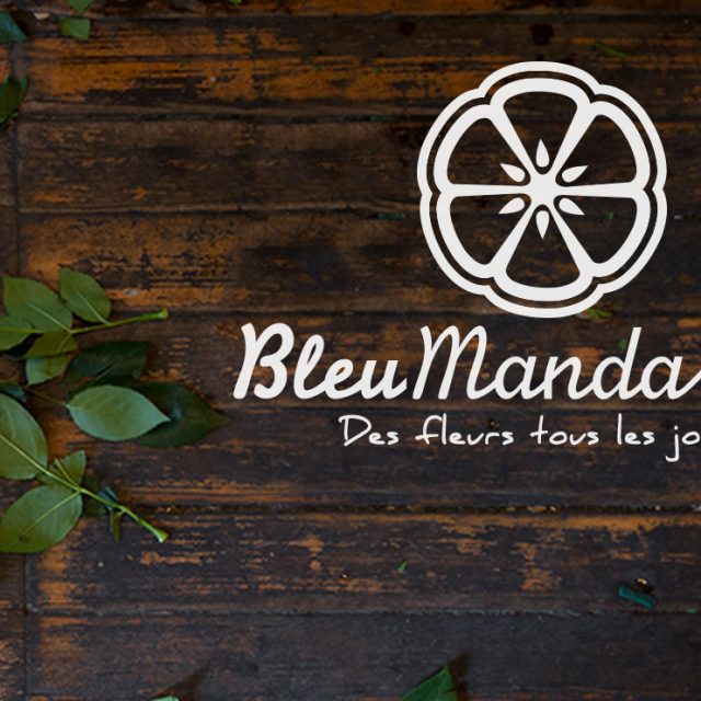 Création logo fleuriste Landes